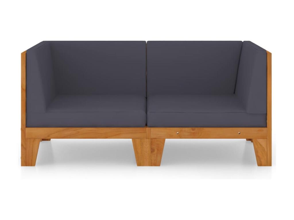 Canapé 2 places gris - Avec coussins