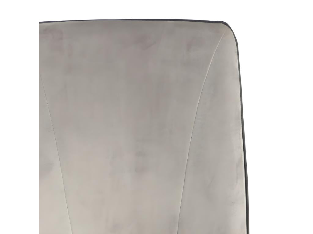 Chaises grises - Revêtement en velours