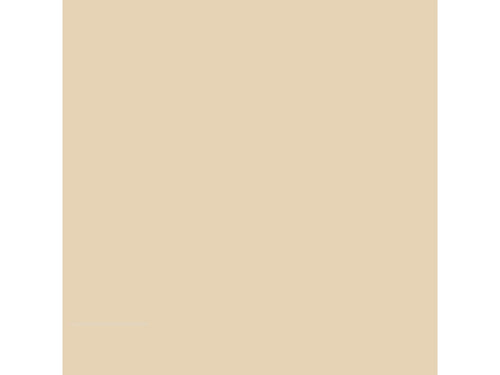 Receveur de douche beige - 80 x 175 cm